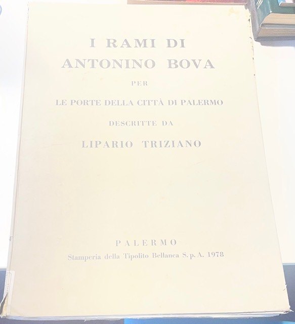 Copertina del libro I rami di Antonino Bova per le porte della città di Palermo