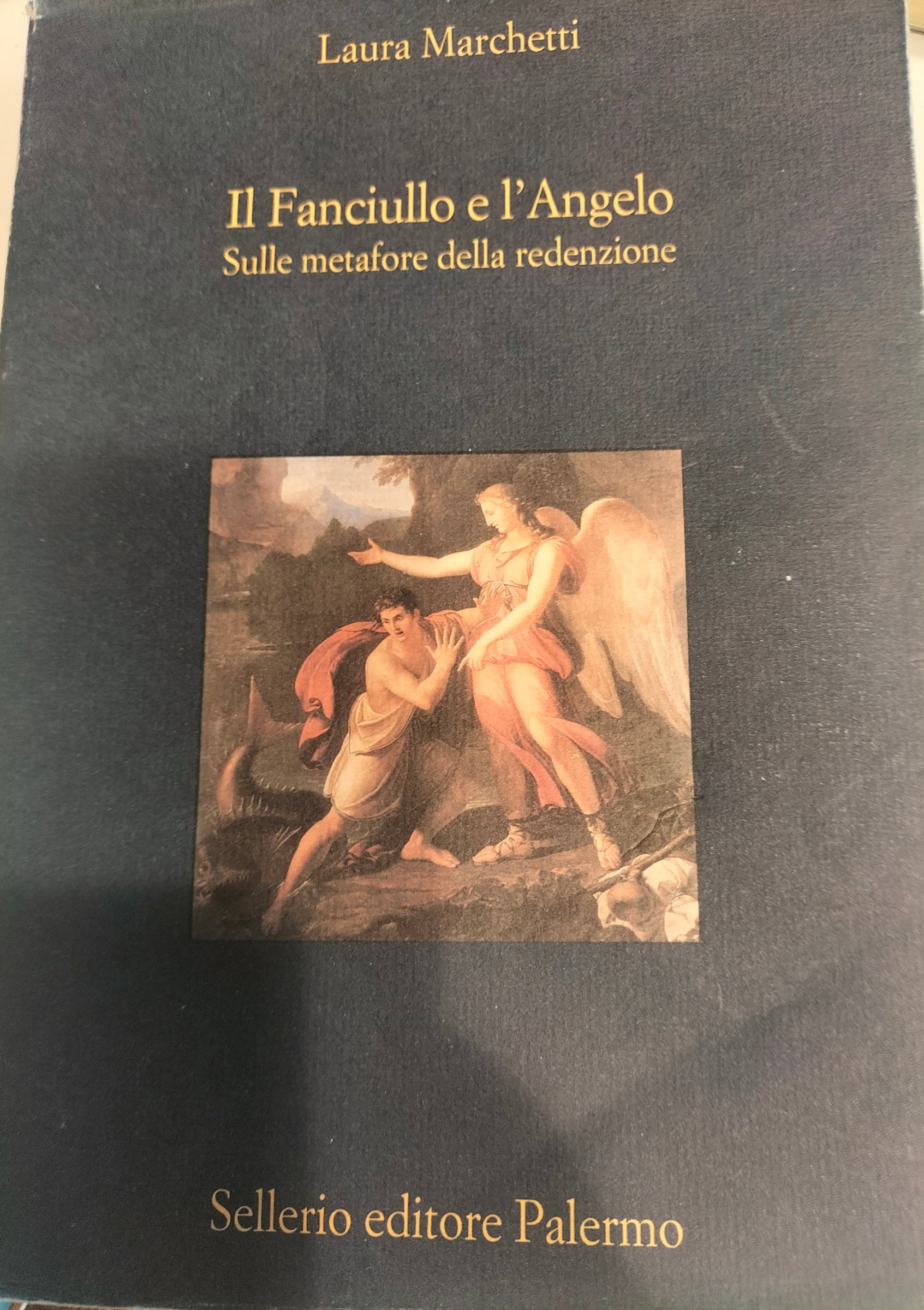 Copertina del libro IL FANCIULLO E L'ANGELO