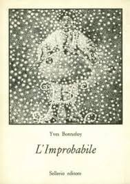 Copertina del libro L'IMPROBABILE