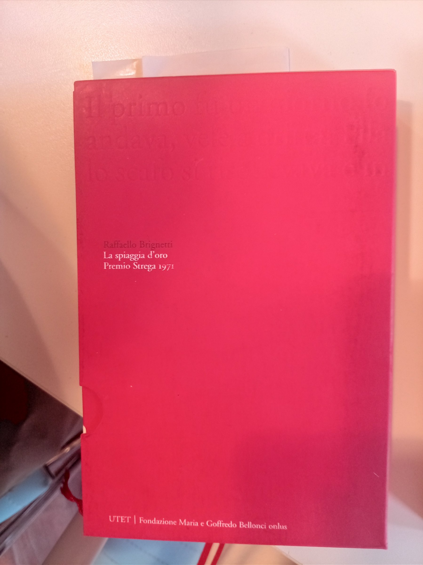 Copertina del libro La spiaggia d'oro