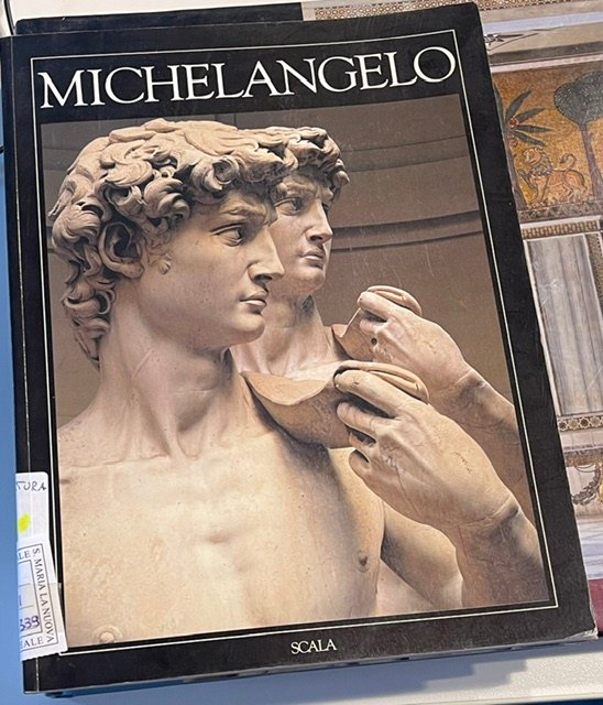 Copertina del libro Michelangelo