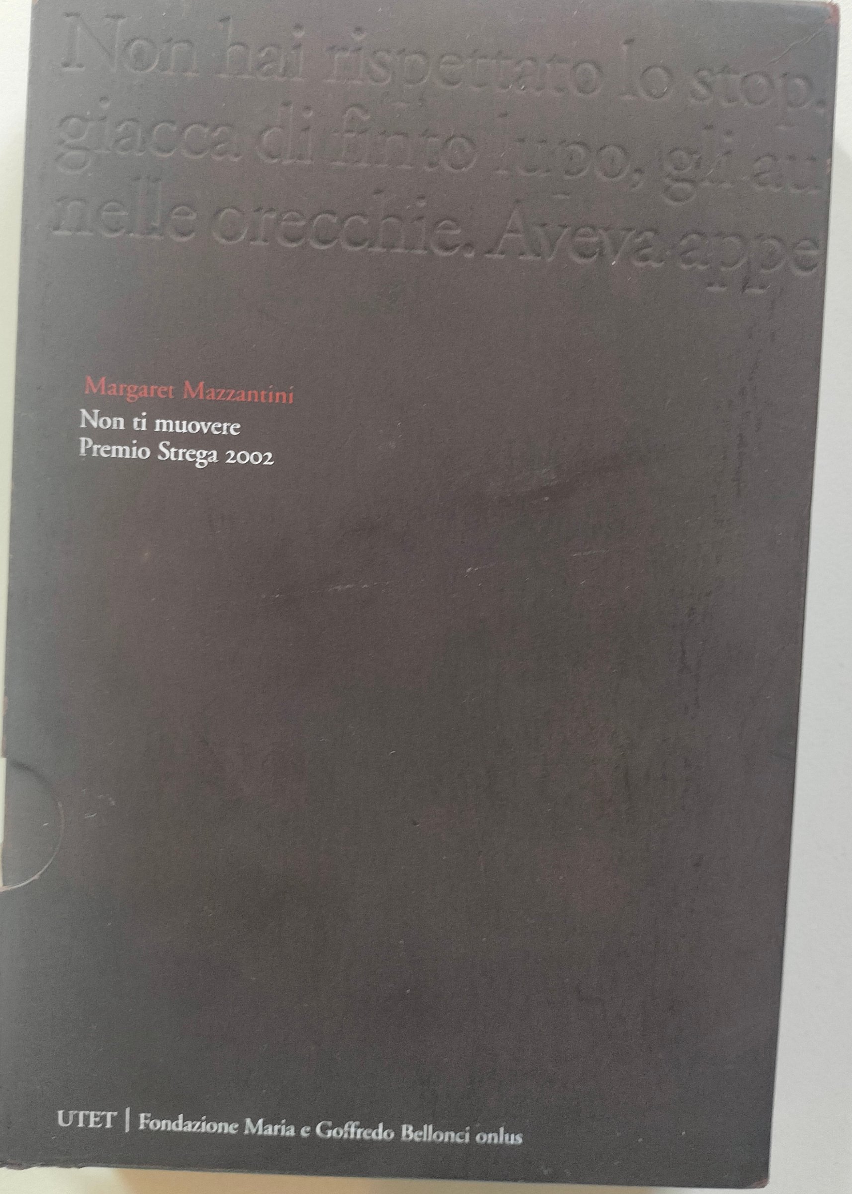 Copertina del libro NON TI MUOVERE