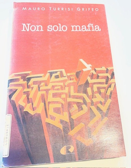 Copertina del libro Non solo mafia