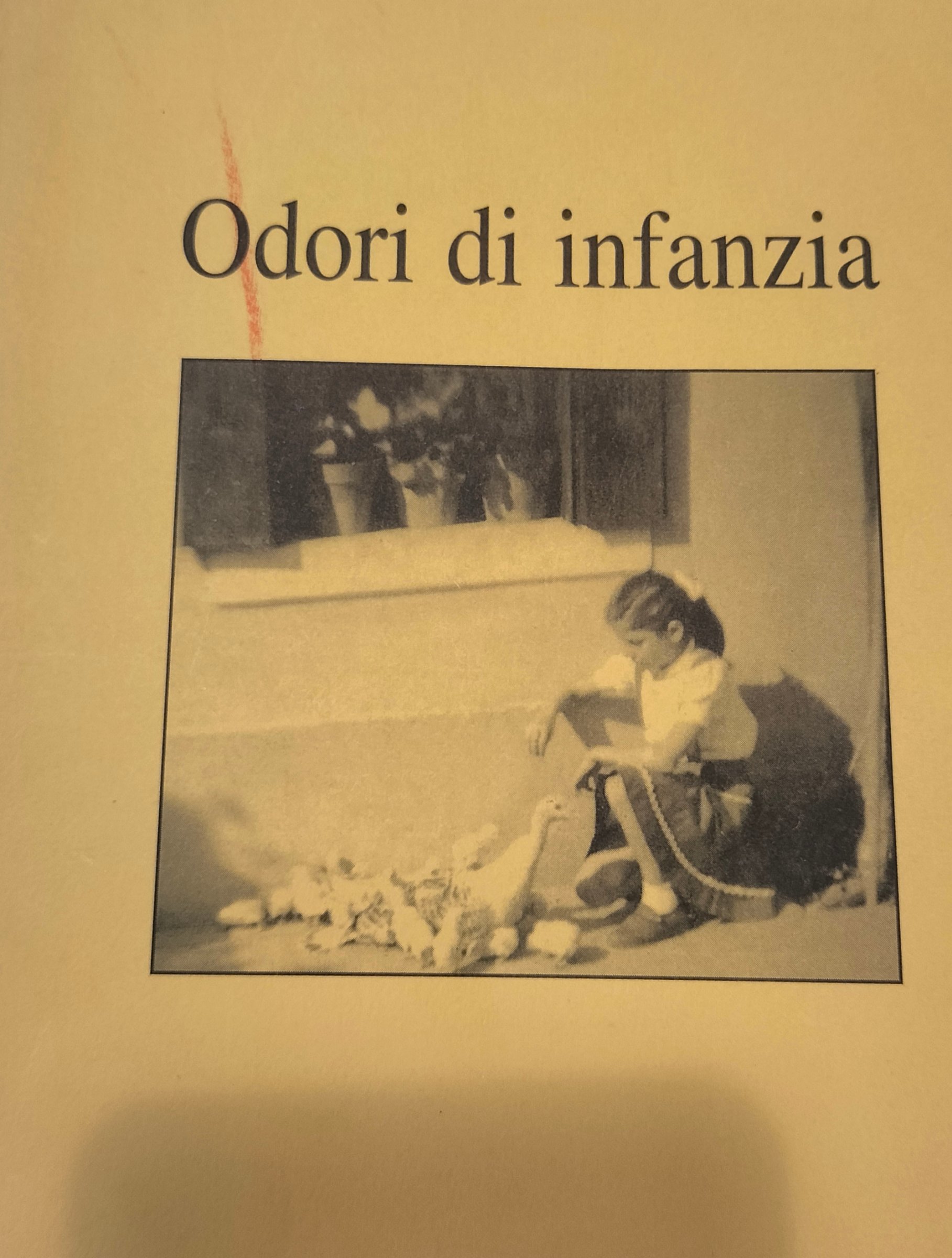 Copertina del libro Odori di infanzia