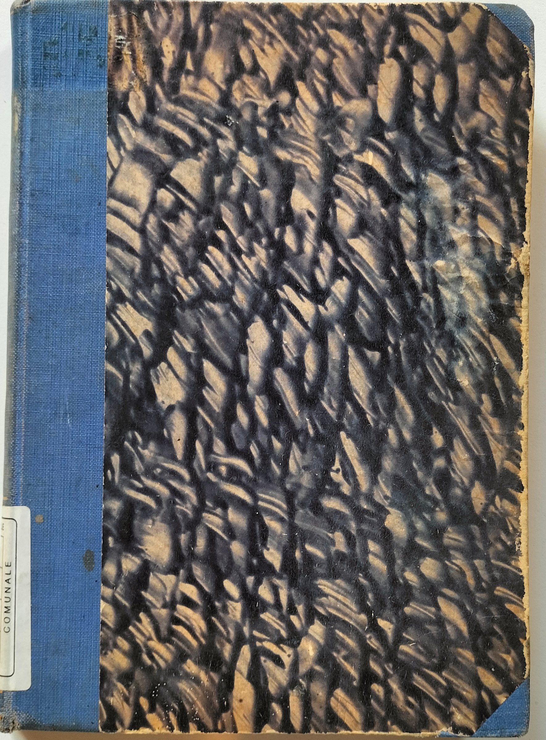 Copertina del libro PICCIOTTI E GARIBALDINI