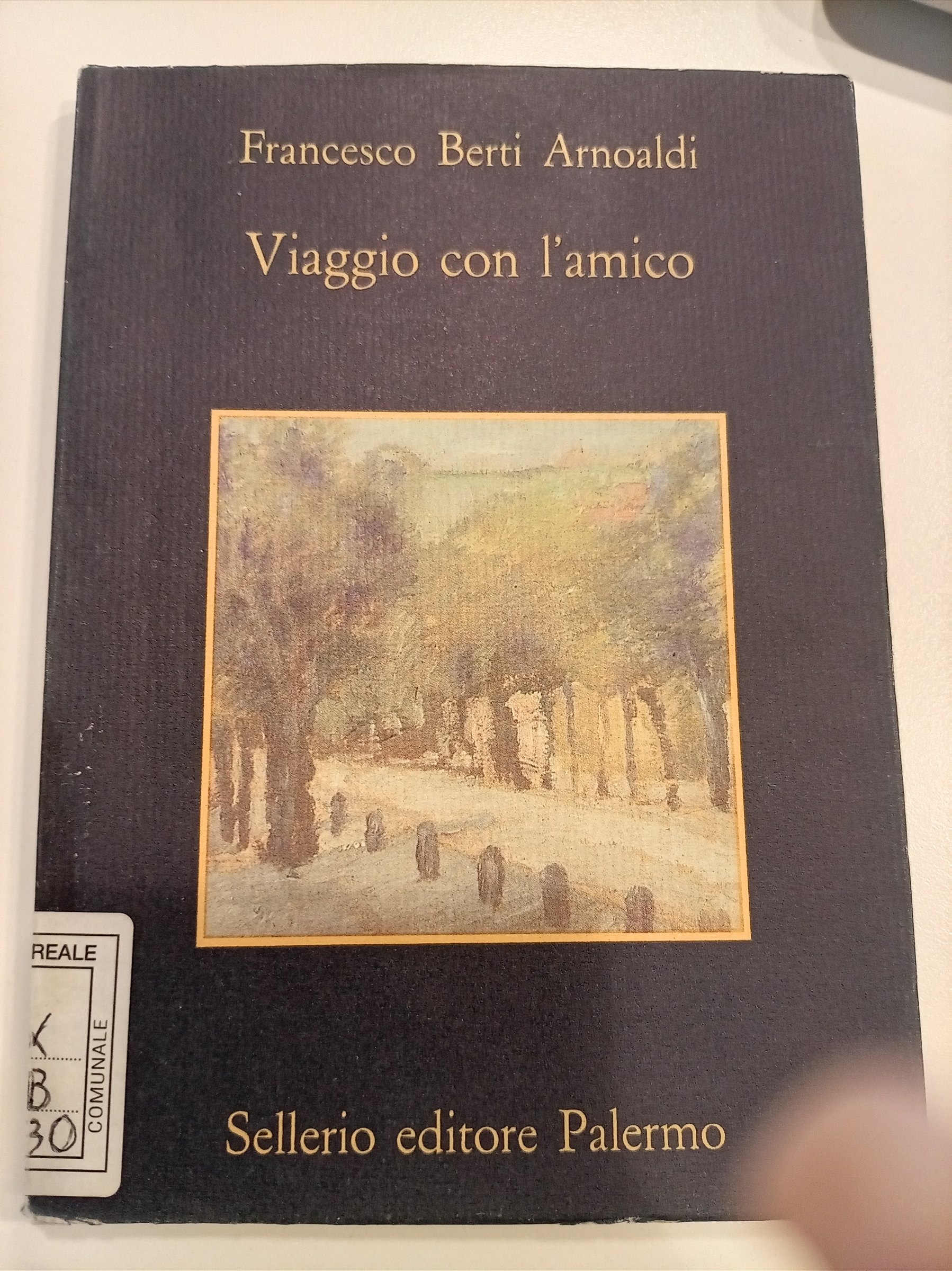 Copertina del libro Viaggio con l' amico